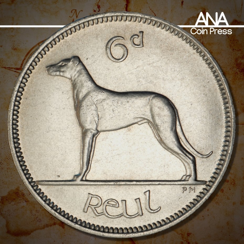 Pros and Cons of Collecting World Coins