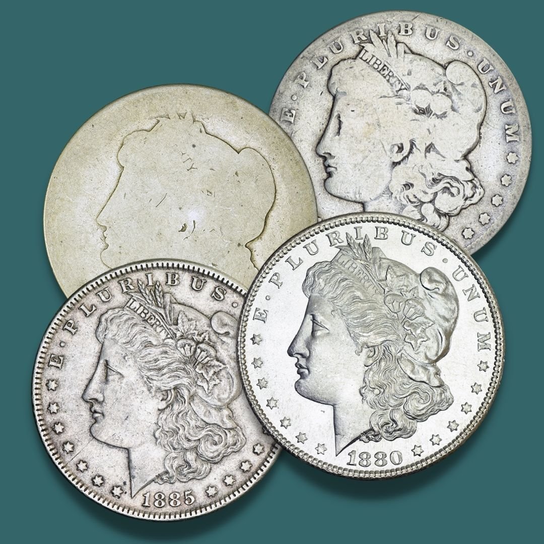 morgan dollar grading set logo