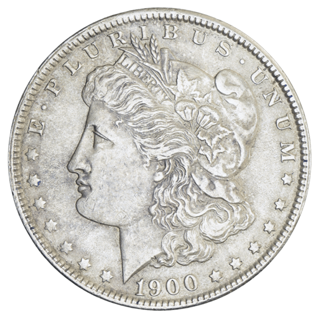 morgan dollar vf45