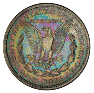 toned morgan dollar reverse