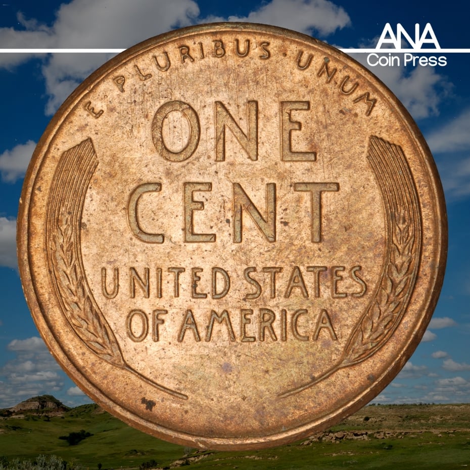 Pros and Cons of Collecting US Coins